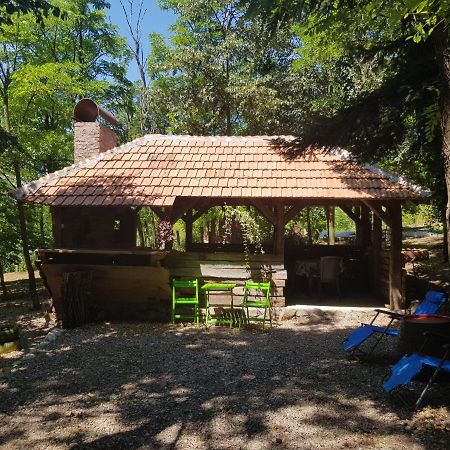 Vila Konaciste Mali Izvor Boljevac Exteriér fotografie