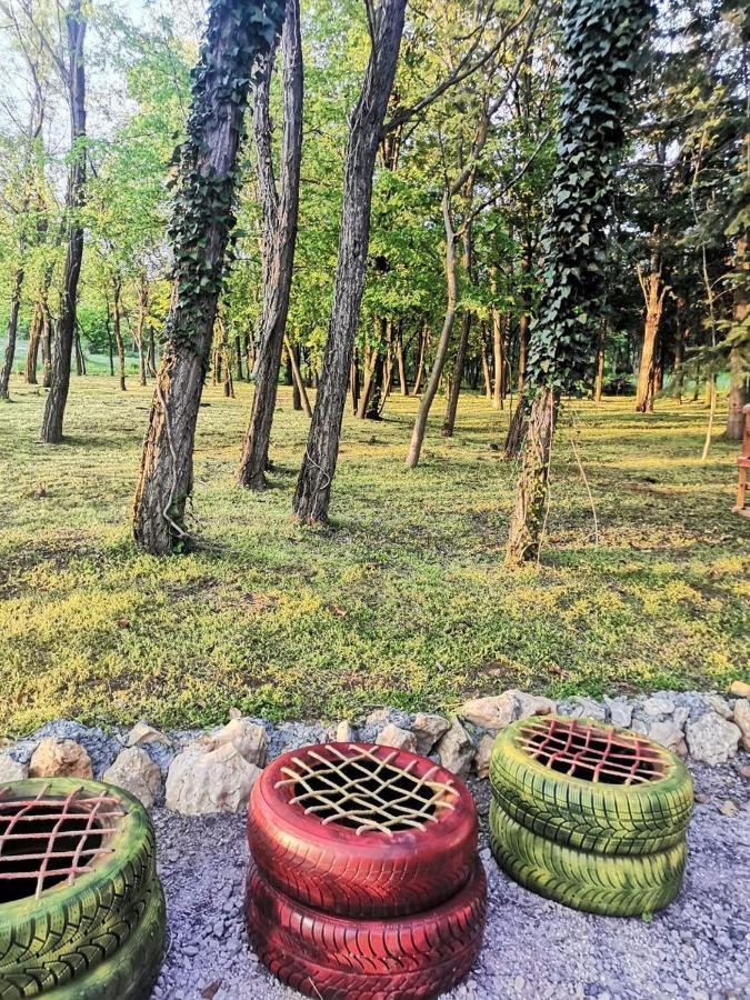 Vila Konaciste Mali Izvor Boljevac Exteriér fotografie