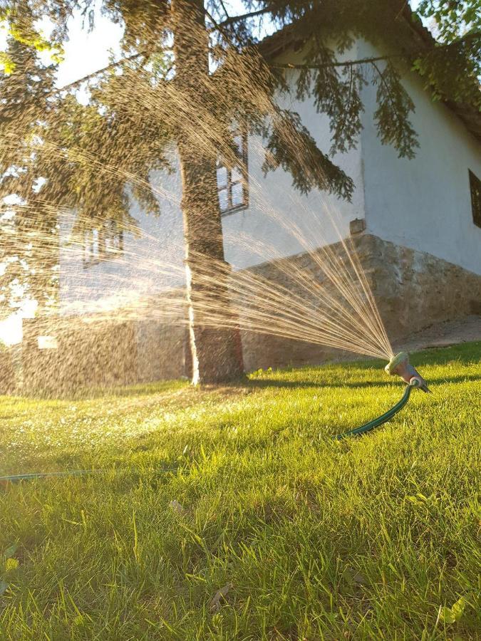 Vila Konaciste Mali Izvor Boljevac Exteriér fotografie