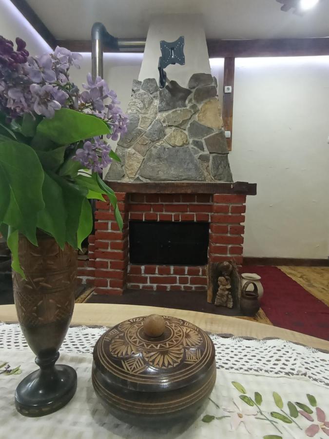 Vila Konaciste Mali Izvor Boljevac Exteriér fotografie