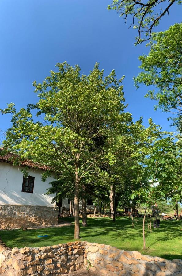 Vila Konaciste Mali Izvor Boljevac Exteriér fotografie