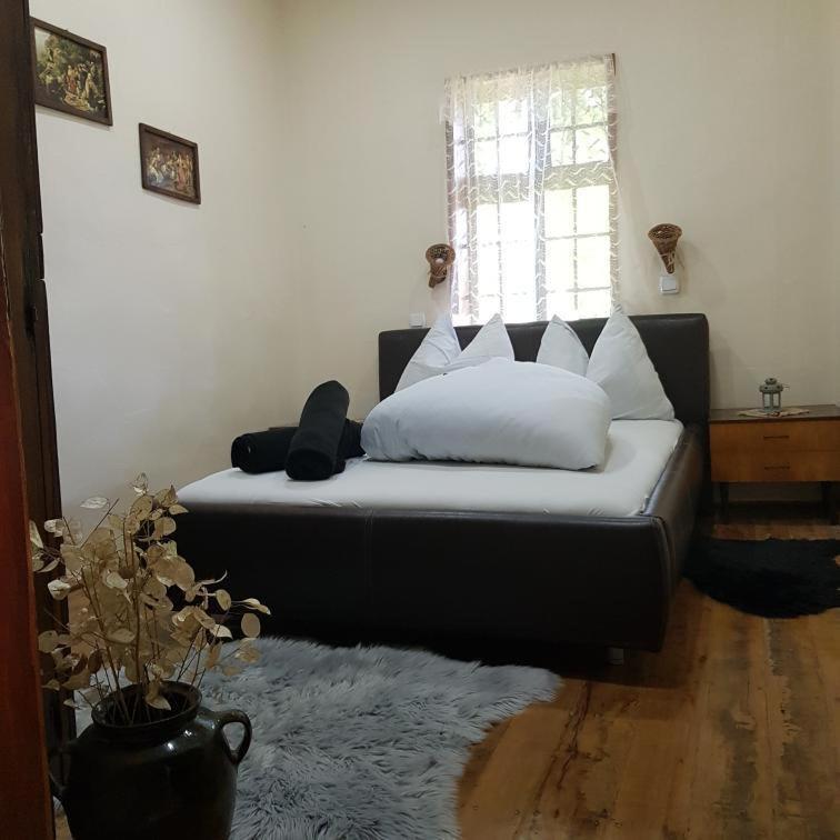 Vila Konaciste Mali Izvor Boljevac Exteriér fotografie