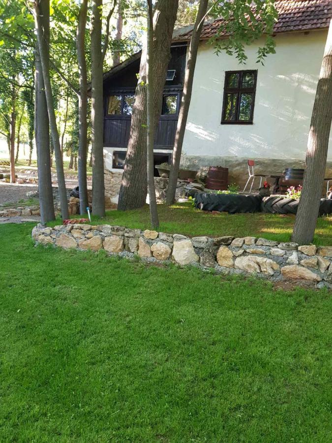 Vila Konaciste Mali Izvor Boljevac Exteriér fotografie