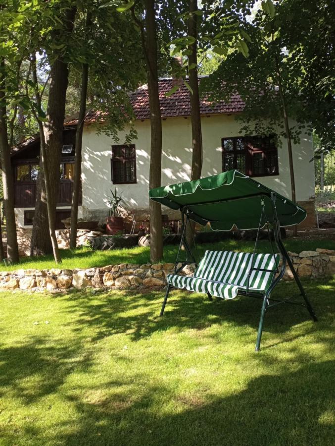Vila Konaciste Mali Izvor Boljevac Exteriér fotografie