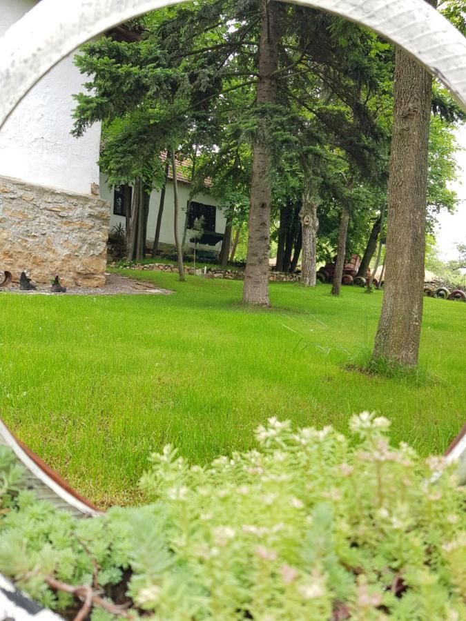 Vila Konaciste Mali Izvor Boljevac Exteriér fotografie
