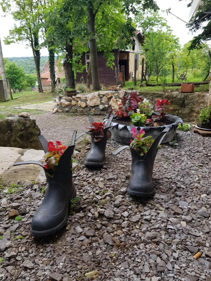 Vila Konaciste Mali Izvor Boljevac Exteriér fotografie