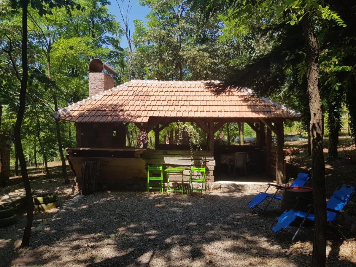 Vila Konaciste Mali Izvor Boljevac Exteriér fotografie