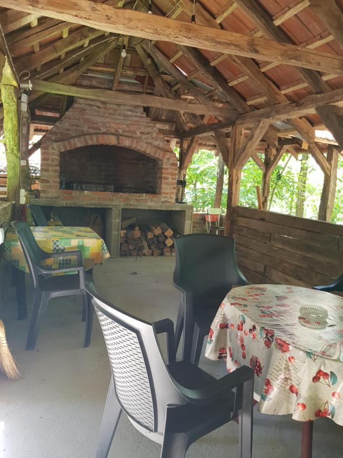 Vila Konaciste Mali Izvor Boljevac Exteriér fotografie