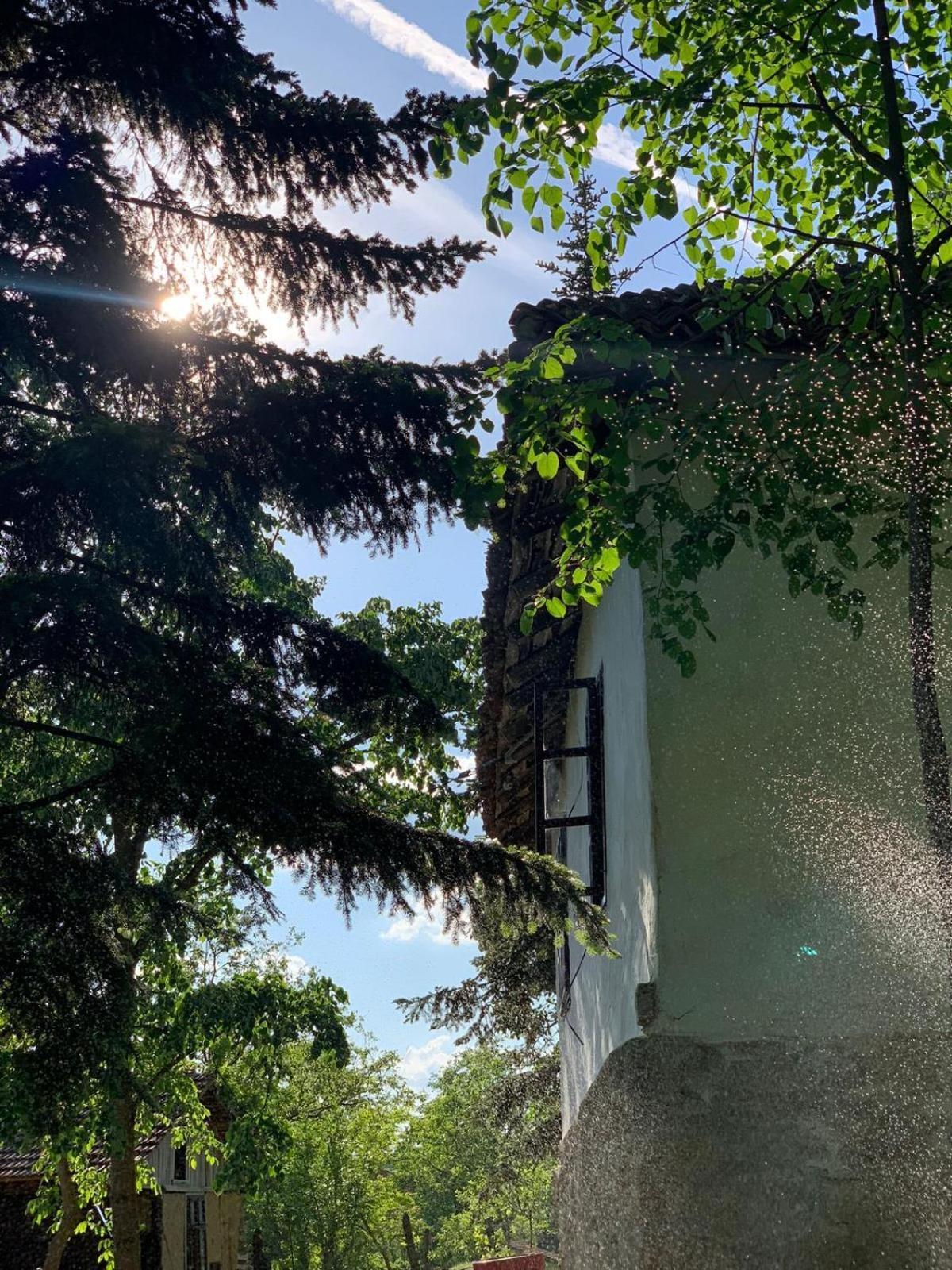 Vila Konaciste Mali Izvor Boljevac Exteriér fotografie